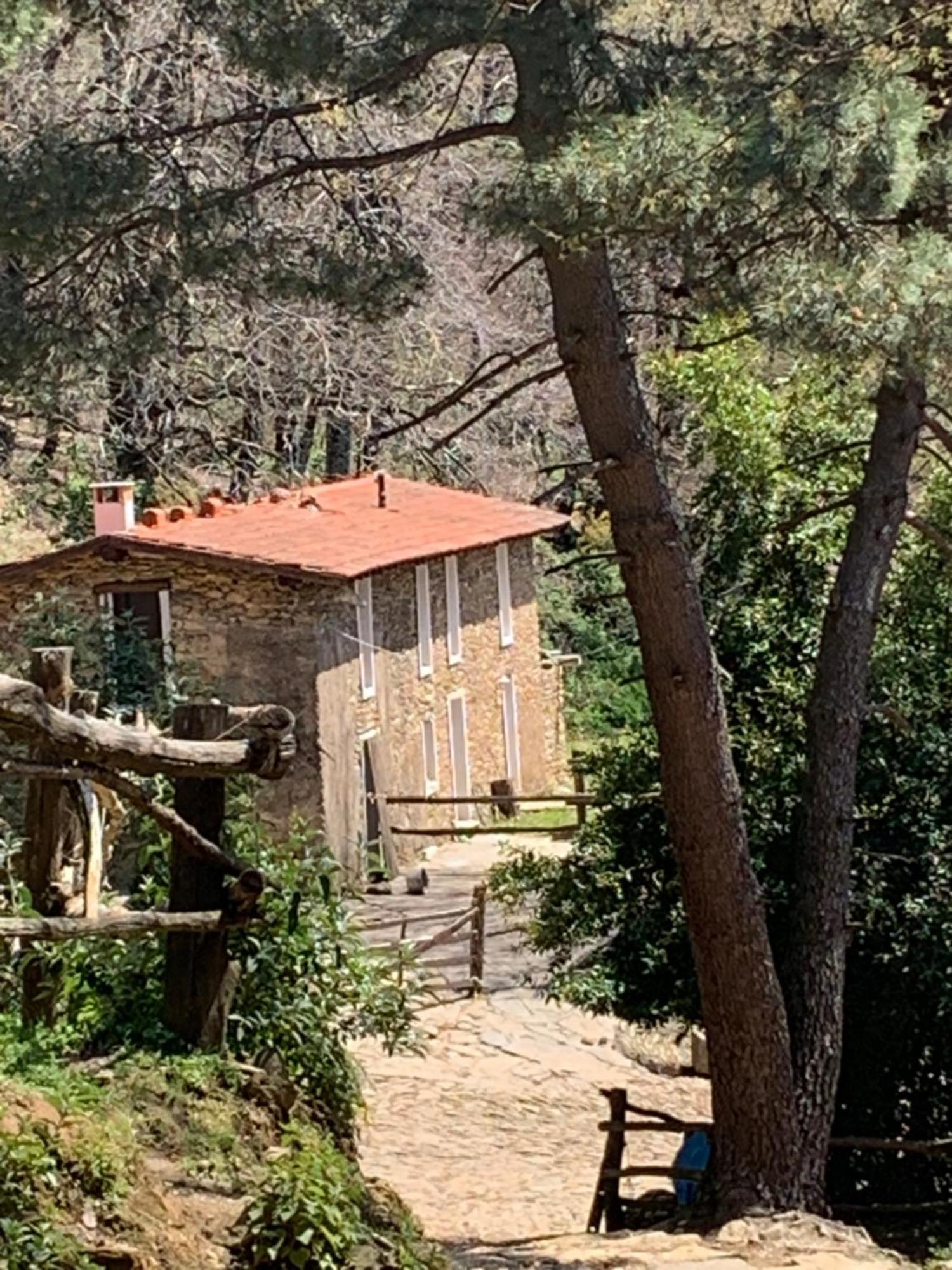 Gasthaus Centro Trekking A Cavallo Monte Brugiana Massa  Exterior foto