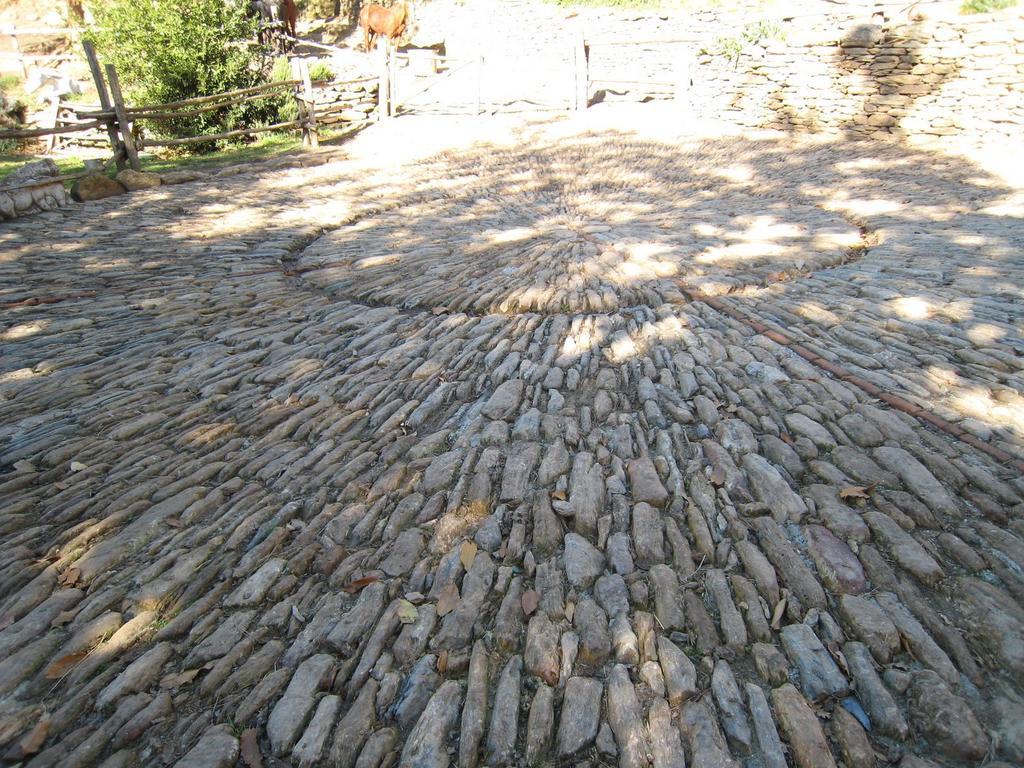 Gasthaus Centro Trekking A Cavallo Monte Brugiana Massa  Exterior foto
