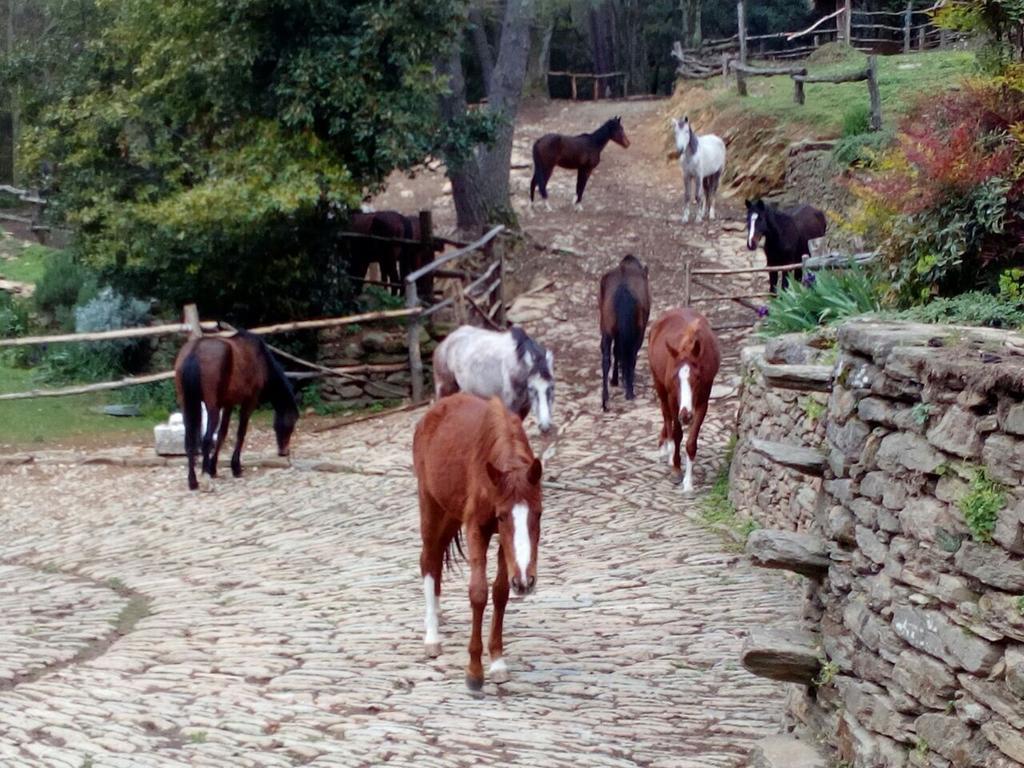 Gasthaus Centro Trekking A Cavallo Monte Brugiana Massa  Exterior foto