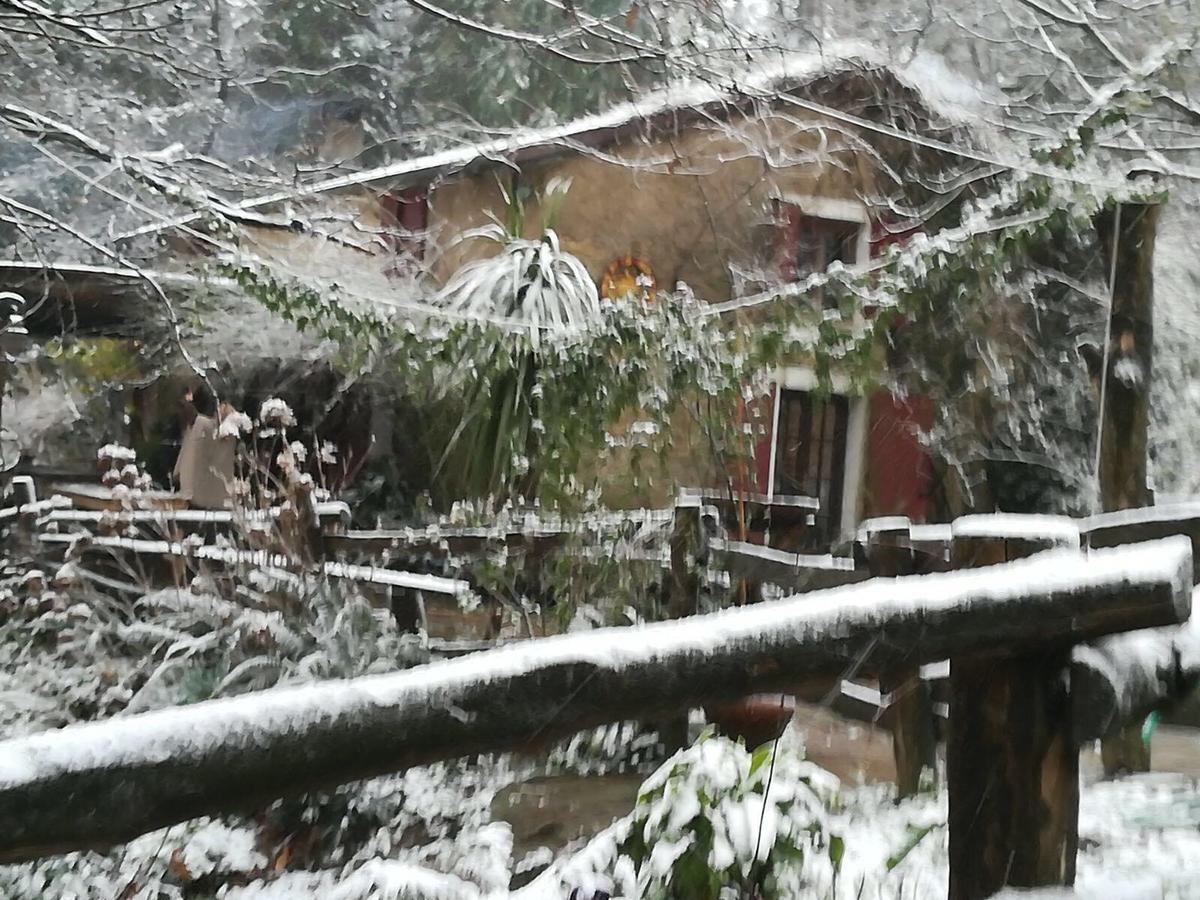 Gasthaus Centro Trekking A Cavallo Monte Brugiana Massa  Exterior foto